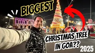 BIGGEST CHRISTMAS TREE IN GOA 🎄 | Goa Christmas 2025 