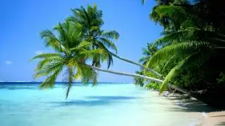Megastylez - World Paradise (Hardbase United Mix) *HD*