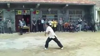 Mei hua quan lao jia 梅花拳老架