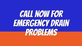 Torbay: Blocked drain & blocked toilet service