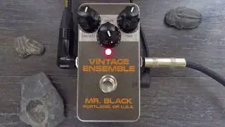 Mr. Black Vintage Ensemble Chorus - 2min Pedal Demo