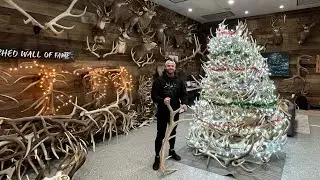 THE BEST ANTLER CHRISTMAS TREE EVER!!!!
