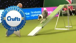 Agility - Large Team Final (Part 1) | Crufts 2017