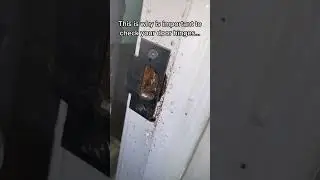 Another german roach hiding spot #shorts