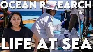What is Life at Sea Like on a Research Vessel?? ⛴️ Oceanography PhD Student