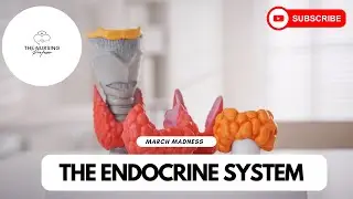 March Madness: The Endocrine System/Abnormal Growth Hormones