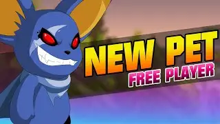 =AQW= /CLASSHALL QUESTS (FULL WALKTHROUGH) | AQWorlds 2020