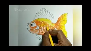 Golden Fish colour pencil drawing | How to draw Fish using colour pencil | Fish drawing for kids