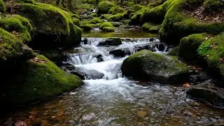 Healing Nature Sounds for Sleep &ndash; Soothing Running Water for Better Sleep