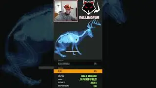 49%NO-Hit #cotw #callofthewild #thehunter #hunt #deer #shooting #shorts #gaming #grind #hunting