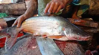 🔴 Real Fishing ASMR LIVE | Fresh Catch Cutting, Cleaning & Preparing