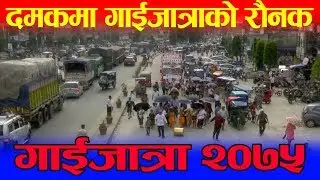 दमकमा गाईजात्राकाे राैनक | यसरी मनाईयाे गाईजात्रा | #Gaijatra 2075 Damak Jhapa
