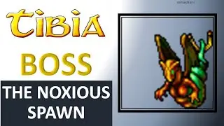 Tibia Boss - THE NOXIOUS SPAWN #1 - Way and Fight - TIBIAbySEB #33
