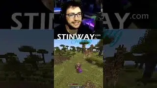 СЛОНОВЕ и ЖИРАФИ в MINECRAFT