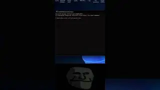 command prompt live parrot 🦜 #algorithmdesign #sortingalgorithms
