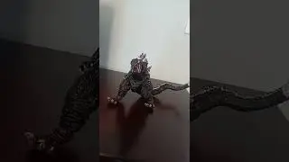 Soon to be epic fight series...?