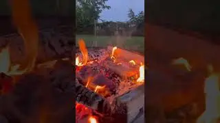 Steak on the coals, perfect camp meal 🙌🏽 #campcooking #campcook #camping #campfood