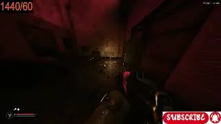 S.T.A.L.K.E.R.2 THE HEART OF CHORNOBYLE #LIVESTRAMING #GAMEPLAY