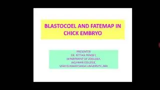 BLASTOCOEL AND FATE MAP IN CHICK EMBRYO