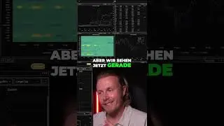 Krypto Update: Meme Coins verlieren, Utility Coins gewinnen! #shorts
