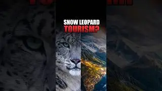 Ghost of Himalayas & Uttarakhand Tourism Reality #devbhoomi #uttarakhand #mountains