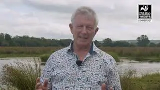 Somerset Wildlife Trust Legacy