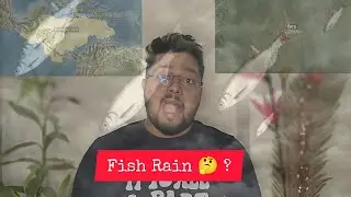 আকাশ থেকে মাছ পড়লো! | Fish Rain Mystery Explained | Untold Fact @LifeMixJunction