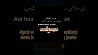 Hum dil ke kamzor log😓|#viral #dil #shorts #explanation #crying #sad