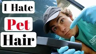How To Vacuum Pet Hair From Carpets