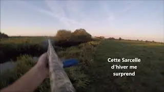 Chasse, canards, Sarcelles et B&eacute;cassines &agrave; la Billebaude