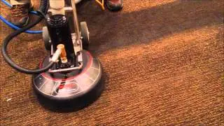 Rotovac 360i carpet cleaning in restaurant