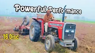 MF 240 Tractor  Power Show on 16 Disc Harrow