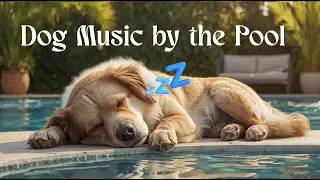 Relaxing Dog Music by the Pool 🐶💦 Cool, Calm & Light Sleep | Soul-Chill Vibes