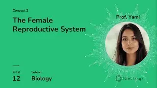 The Female Reproductive System | Class 12 Biology | Human Reproduction