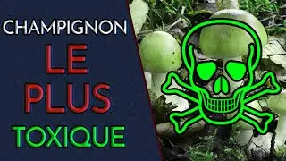 C'est QUOI LE CHAMPIGNON LE PLUS TOXIQUE ? (attention danger)