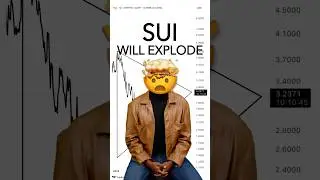 You'll wish you bought SUI earlier!
