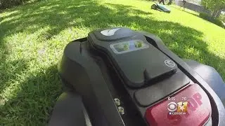 A Dallas Startup Is Putting Robots To Work In The Yard