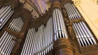 St. Patrick's Cathedral Organ, NYC