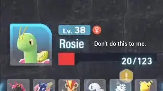 The Most Chaotic Wild Zone Moment Ever