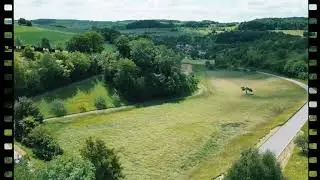 Natur pur