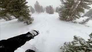 Fresh Year, Fresh Pow | Chasing Deep Powder in Tahoe