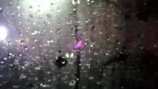 kurdi کوردی