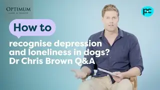 Dr Chris Brown Q&A: How to recognise depression and loneliness in #dogs | PET CIRCLE