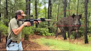 HOG HUNTING the swamps of TEXAS (new suppressor)