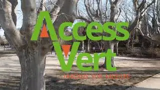 Am&eacute;nagement de Prestige : Plantation d'Oliviers et Terrassement &agrave; Aix | Access Vert 🌳