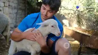 invideo ai 1080 The Shepherd and the Wolf Moral Story 2025 06 17 2