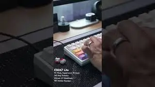 WS Red Switches I really like it!!