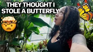 VLOG | From Morning Chaos to Butterfly Bliss or butterfly thief?! | A Day in Houston Texas