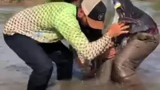 Biggest Tiger Shovel Nose Cat fish 5feet 9 inches