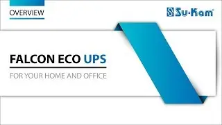 Falcon Eco UPS for Home and Office